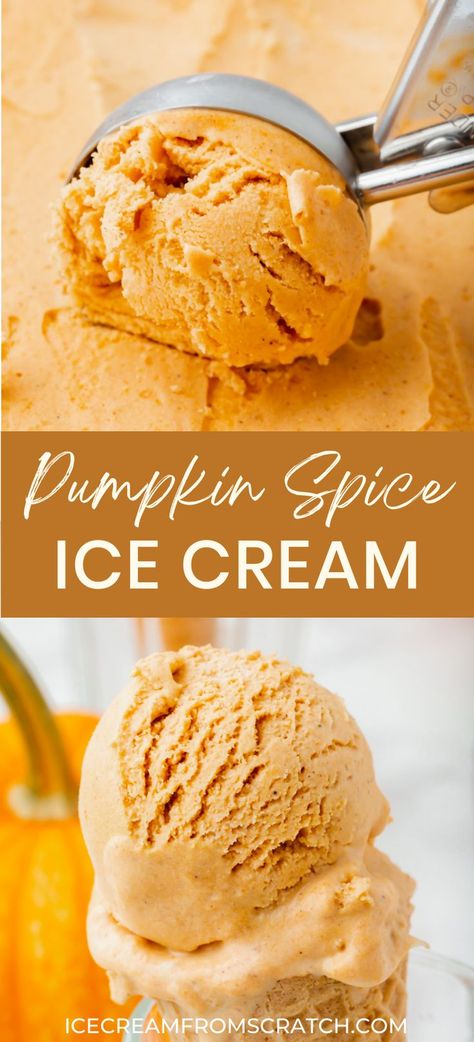 The top half has an ice cream scoop scooping from a layer of pumpkin spice ice cream. The bottom half has a sugar cone holding 2 scoops of pumpkin spice ice cream. No Churn Pumpkin Ice Cream, Pumpkin Ice Cream No Churn, Fun Ice Cream Flavors, Pumpkin Spice Ice Cream Recipe, Fall Ice Cream, Pumpkin Ice Cream Recipe, Autumn Dishes, Ice Cream From Scratch, Homemade Ice Cream Recipes Machine