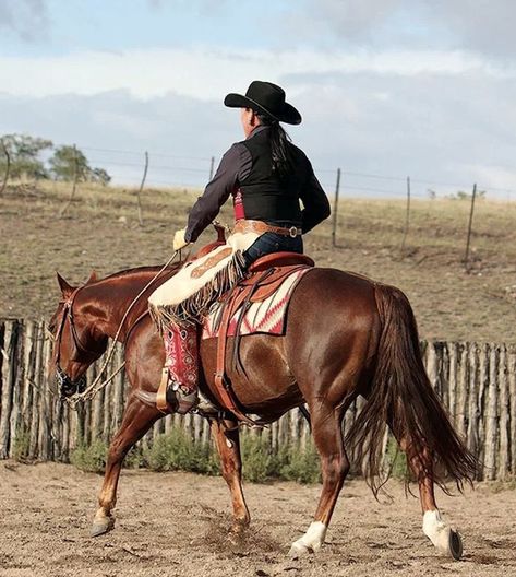 Ranch Versatility, Horseback Riding Boots, Working Cow Horse, Ranch Riding, Equestrian Helmets, Equestrian Helmet, Horse Training Tips, Equestrian Lifestyle, Western Horse