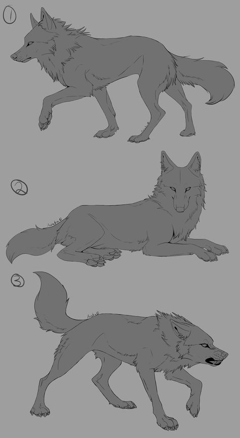 Wolf Poses, Wolf Sketch, 강아지 그림, Wolf Drawing, Anime Wolf, Wolf Dog, Animal Sketches, Wolf Art, Drawing Skills