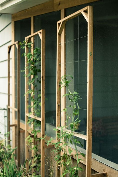 Cucumber Trellis, Diy Garden Trellis, Diy Trellis, Garden Vines, House Outdoor, Vertical Gardens, Have Inspiration, Garden Bed, Garden Trellis