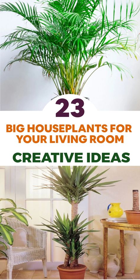 Transform your living space into a tranquil oasis by incorporating statement-making large houseplants. Embrace the grandeur of the majestic monstera deliciosa, featuring lush tropical leaves for a striking aesthetic. Elevate your room's design with the architectural elegance of the yucca plant and its tall, spiky foliage. Introduce a hint of paradise with a graceful palm tree that adds height and tropical vibes indoors. Indoor Palm Trees Living Room, Big Plants Indoor Living Rooms, Areca Palm Indoor, Big House Plants, Tall House Plants, Indoor Palm Plants, Inside Gardening, Large Houseplants, Old House Decorating