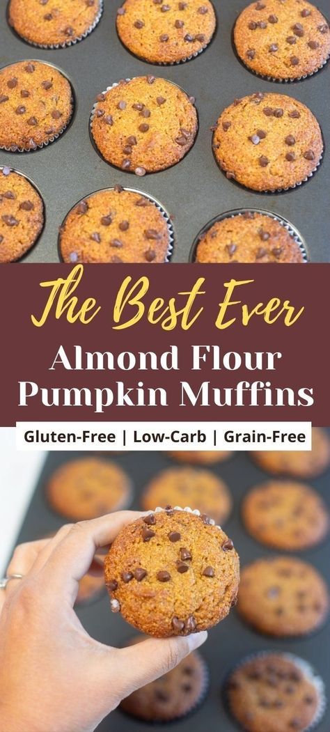 These gluten-free Almond Flour Pumpkin Muffins are a delicious sweet treat, incredibly moist and fluffy, and taste a bit like pumpkin pie. These paleo muffins are easy to make, and are topped with chocolate chips for extra goodness. | healthy breakfast muffins | gluten-free baking | low carb muffins | high protein recipes | paleo pumpkin muffins | pipingpotcurry.com Paleo Apple Muffins Almond Flour, Muffin Recipes With Almond Flour, Low Carb Pumpkin Muffins Almond Flour, Easy Almond Flour Pumpkin Muffins, Almond Flour Pumpkin Chocolate Chip Muffins, Best Ever Pumpkin Muffins, Almond Flower Pumpkin Muffins, Pumpkin Banana Almond Flour Muffins, Muffins Using Almond Flour