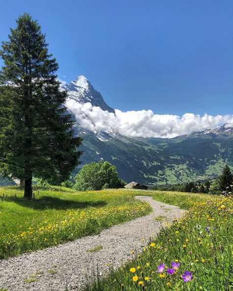 Beautiful Photos Of Nature Scenery, Switzerland In April, Grindelwald Switzerland, Mountain Aesthetic, Mountains Aesthetic, Photo Tag, Landform, Mountain Pictures, Visit Switzerland