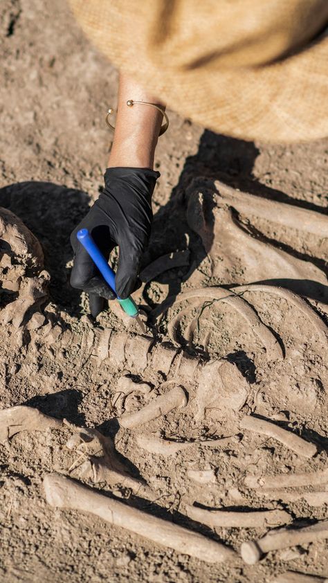 Paleontologist Aesthetic, Archeology Aesthetic, Archaeology Aesthetic, Cool History, Marine Archaeology, Archaeology Dig, Pulp Adventure, Forensic Anthropology, Nature Story