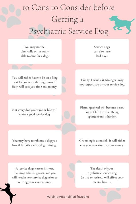 10 Cons to Consider Before Getting a Psychiatric Service Dog Service Dog Tasks List, Assistance Dog Gear, Service Dogs Gear For School, Psychiatric Service Dog Tasks, Psychiatric Service Dog Training, Service Dog Quotes, Psychiatric Service Dog Gear, Service Dog Training Checklist, Service Dog Gear For School