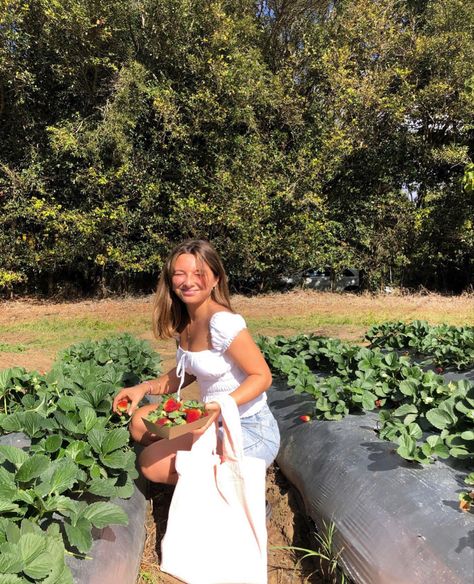 Strawberry Picking Photography, Strawberry Picking Pictures, Strawberry Picking Outfit, All The Bright Places, Strawberry Farm, Strawberry Summer, Berry Picking, Strawberry Picking, Fruit Picking