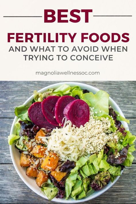 Ttc Diet, Foods For Fertility, Boosting Fertility, Herbs For Fertility, Ivf Diet, Fertility Smoothie, Aip Paleo Recipes, Fertility Foods, Genetically Modified Food