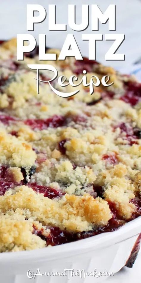 German Plum Kuchen Recipes, Plum Kuchen German, Plum Kuchen Recipe, Plum Platz, German Kuchen Recipes, Plums Recipes Dessert, Plum Desserts, Plums Recipes, German Plum Cake