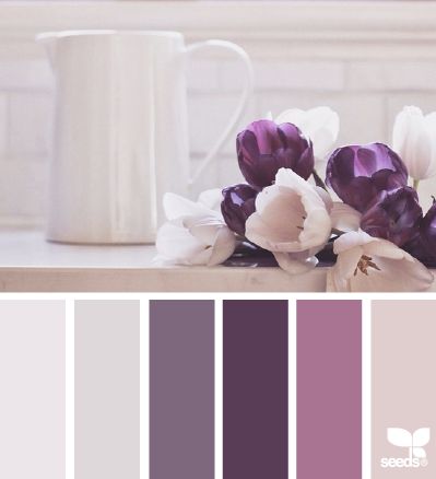 Purples and Creams ~ Great Colour Scheme For A Bedroom, Just Needs A Hint Of Lilac Seeds Color, Design Seeds, Color Balance, Colour Board, Colour Schemes, Color Pallets, Color Swatches, Room Colors, Color Theory