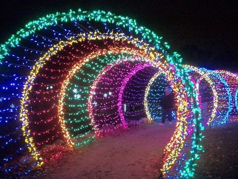 Christmas decorative LED fairy lighted tunnel | iChristmasLight Garden Of Lights, Picture Green, Christmas Arch, Christmas Lights Outside, Holiday Lights Display, Light Tunnel, Christmas Light Installation, Hanging Christmas Lights, Christmas Light Displays