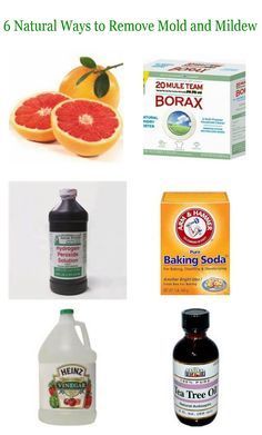 Cleaning Mildew Off Wood, Mold And Mildew Remover, Remove Mold, Mildew Remover, Cleaning Mold, Mold Removal, Homemade Cleaning Products, Natural Cleaning, Natural Cleaners