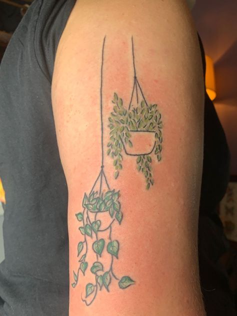 Hanging plants with color Hang Tattoo Women, Simplistic Plant Tattoo, Tattoos Of Plants, Tiny Potted Plant Tattoo, Trailing Plant Tattoo, Plant In A Pot Tattoo, Plant Propagation Tattoo, Hanging Plants Tattoo, Mini Plant Tattoo