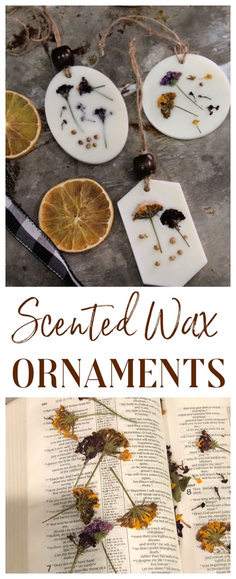 Scented Botanical Wax Ornaments – The CentsAble Shoppin Diy Scented Ornaments, Herbal Christmas Ornaments, Scented Christmas Ornaments Diy, Herb Christmas Ornaments, Essential Oil Ornaments Diy, Beeswax Gifts Diy, Wax Ornaments Diy Christmas, Diy Nature Inspired Christmas Ornaments, Wax Christmas Ornaments