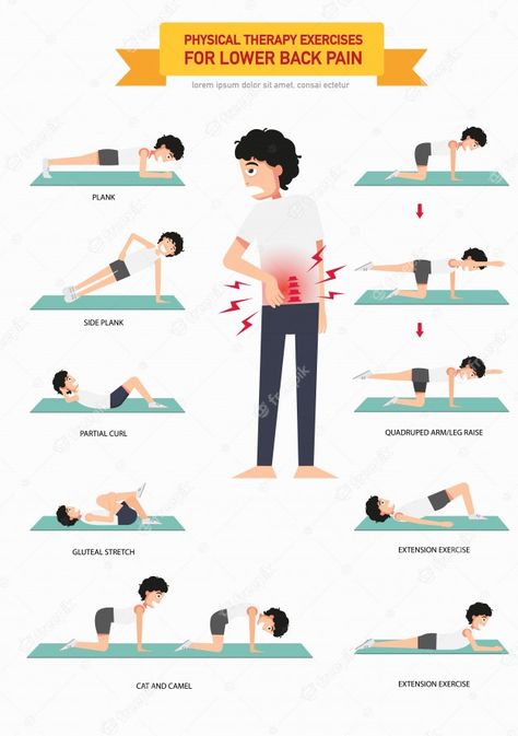 Premium Vector | Physical therapy exercises for lower back pain infographic, illustration. Exercises For Lower Back Pain, Exercises For Lower Back, Lower Back Pain Stretches, Forward Head Posture Exercises, Therapy Exercises, Rehabilitation Exercises, Back Stretches For Pain, Physical Therapy Exercises, Lower Back Pain Exercises