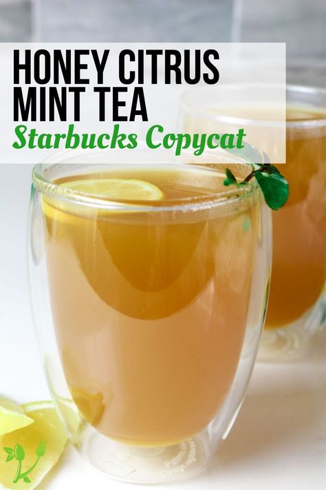 Copycat Honey Citrus Mint Tea, Honey Citrus Mint Tea Recipe, How To Make Starbucks Honey Citrus Mint Tea, Starbucks Copycat Honey Citrus Mint Tea, Starbucks Citrus Mint Tea, Lemon Green Tea Recipe, Starbucks Honey Citrus Mint Tea Recipe, Honey Citrus Mint Tea Starbucks, Hot Green Tea Recipes