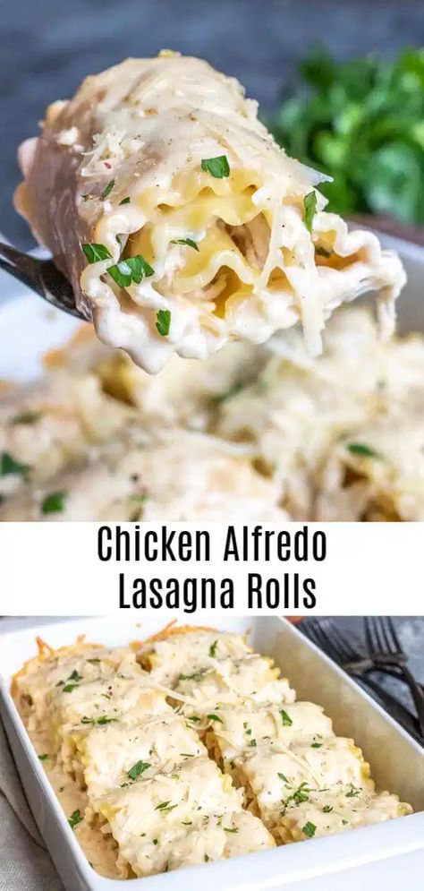 Chicken Alfredo Lasagna Roll Ups, Alfredo Lasagna Roll Ups, Lasagne Roll Ups, Chicken Alfredo Lasagna, Alfredo Lasagna, Lasagna Roll Ups, Resep Pasta, Lasagna Roll, Keto Lasagna