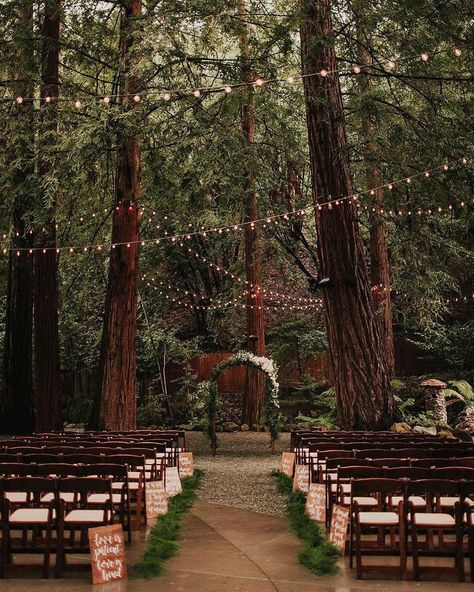 Twilight Wedding, Forest Theme Wedding, Enchanted Forest Wedding, Dream Wedding Venues, Fairy Wedding, Planning Wedding, Outdoor Reception, Forest Theme, Future Wedding Plans