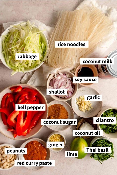 Red Curry With Noodles, Thai Curry Rice Noodles, Coconut Noodles Recipe, Chinese Rice Noodles Recipes, Rice Noodle Dishes Healthy, Rice Nudel Recipe, Red Thai Curry Shrimp With Rice Noodles, Rice Noodle Sauce Recipes, Rice Noodles Sauce