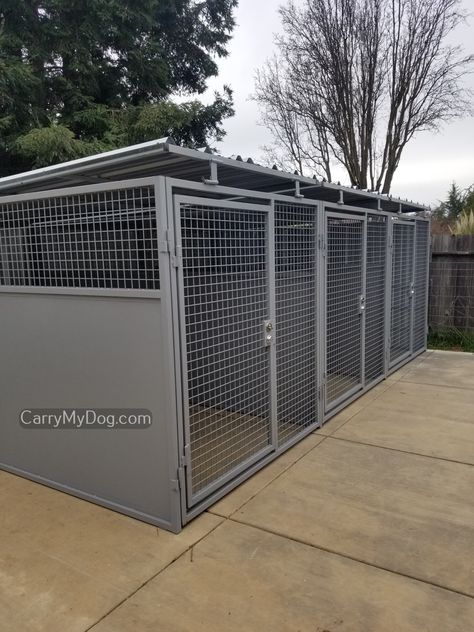 3 Dog Kennel Ideas Outdoor, Building Dog Kennel Outdoor, Pvc Dog Kennel, Dog Cages Outdoor, Diy Outdoor Kennels For Dogs, Shed To Dog Kennel, Dog Kennel With Run, Outdoor Kennel Ideas, Shipping Container Dog Kennel