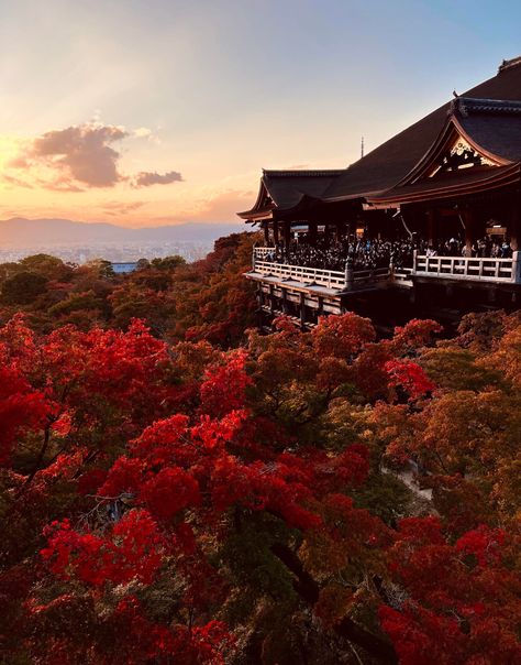 Beautiful Kyoto fall colors by nastikplastik The post Beautiful Kyoto fall colors appeared first on Alo Japan. Fall Japan, Japan In Autumn, Kyoto Autumn, Japan Aesthetics, Autumn Japan, Japan Fall, Aesthetic Scenery, Japan Autumn, Japanese Theme