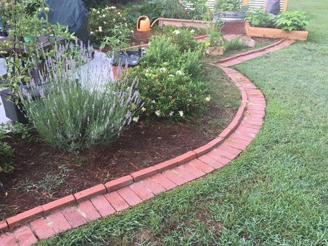 DIY Brick Garden Edging in a Weekend - The Kitchen Garten Brick Garden Edging, Flower Bed Edging, Garden Spade, Brick Edging, Garden Kneeler, Brick Garden, Edging Ideas, Garden Edging, Garden Borders