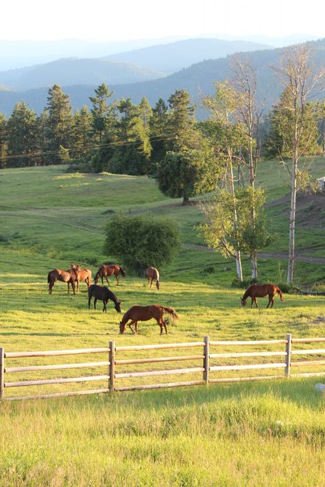 Future Farms, التصميم الخارجي للمنزل, Guest Ranch, Horse Ranch, Country Scenes, Ranch Life, Farms Living, Horse Farms, Country Farm