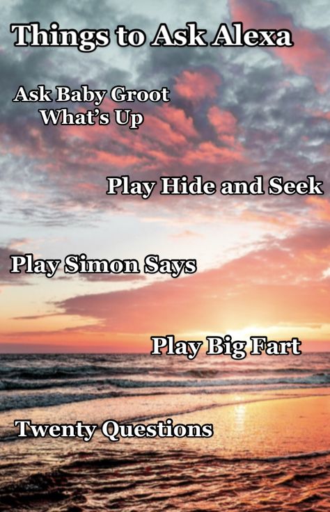 Fun Questions To Ask Alexa, Alexa Funny Questions, Things To Say To Your Alexa, Fun Things To Say To Alexa, Alexa Up Down Left Right, Things To Tell Alexa, What To Say To Your Alexa, Things To Ask Alexa Funny, Stuff To Say To Alexa