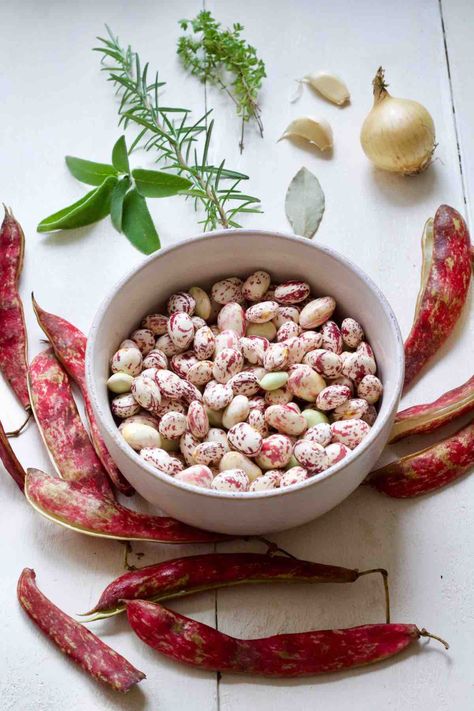 In this simple how-to guide you will find all you need to know to cook borlotti aka cranberry beans both fresh and dried to use in a variety of recipes. #borlottibeans #cranberrybeans #freshbeans #driedbeans #howtoguide #kitchentips #kitchenhacks Fresh Cranberry Beans Recipe, Cranberry Beans Recipe, Allotment Recipes, Borlotti Beans, Beans In Crockpot, Cranberry Beans, Cooking Dried Beans, Make Hummus, How To Cook Beans