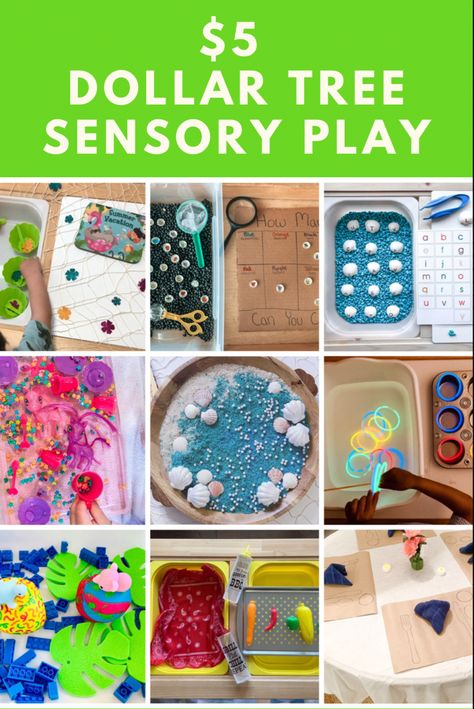 $5 Dollar Tree sensory play Dollar Tree Sensory, Easy Sensory Bin, Play Ideas For Kids, Fancy Items, Sensory Bin Ideas, Sensory Play Ideas, Toddler Sensory Bins, Bug Activities, Sensory Crafts