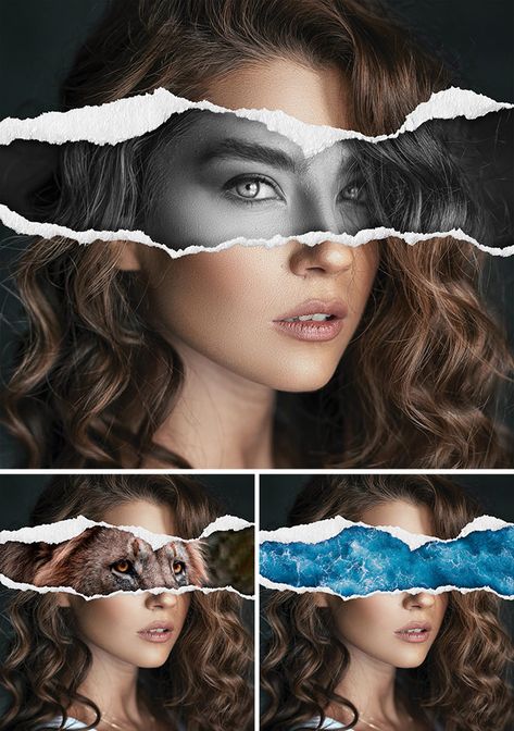 Torn Paper Effect Photoshop, Adobe Photoshop Ideas, Torn Paper Collage, Paper Tear, Photoshop Video Tutorials, Cool Photoshop, الفن الرقمي, Adobe Photoshop Design, Photoshop Techniques