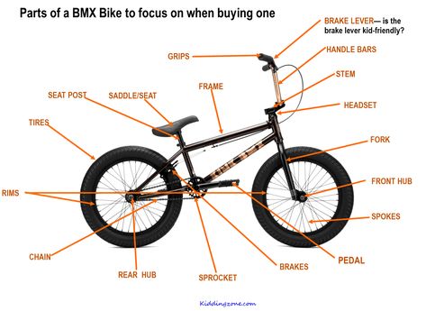 Bmx Brands, Best Bmx, Bike Equipment, Bmx Racing, Bmx Bicycle, Bmx Bike, Bike Brands, Brake Pedal, Motorcycle Design