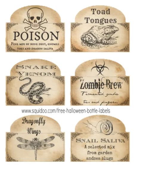 Free Printable Halloween Bottle Labels and Potion Labels - Holidappy Potion Bottle Labels Printable Free, Diy Halloween Bottles, Halloween Labels Printable, Halloween Apothecary Labels, Bottle Lables, Halloween Bottle Labels, Free Printable Halloween, Halloween Apothecary, Halloween Potion Bottles