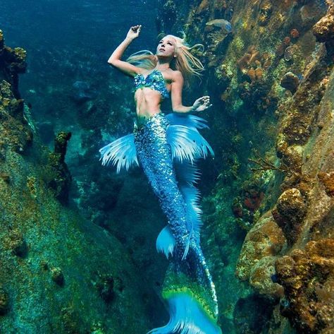 Meet Hannah Fraser - a real-life, full-time professional mermaid, who dances with sharks, dolphins, whales and more - to raise awareness about the fragi... Real Life Mermaids, Professional Mermaid, Mermaid Pose, Mermaid Photography, Mermaid Barbie, Sea Shepherd, Mermaid Photos, Ocean World, Siren Mermaid