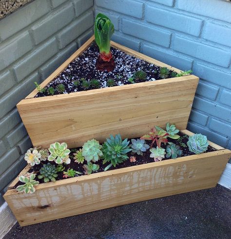 Fill an empty corner with this two-tiered corner planter and watch the gorgeousness grow Small Patio Ideas On A Budget, Truck Garden, Small Patio Spaces, Garden Pergola, Apartment Balcony Garden, Alpine Plants, Garden Types, Pallet Garden, Pallets Garden