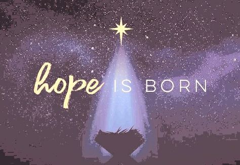 Hope Images, Christmas Hope, Christmas Verses, Merry Christmas Gif, Hollywood Walk Of Fame Star, Christmas Gif, Hollywood Walk Of Fame, Walk Of Fame, Christmas Time