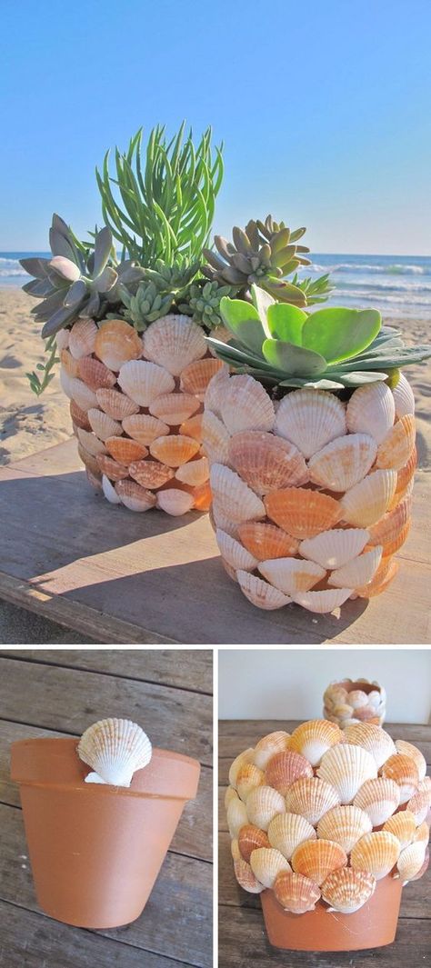 Succulent Gardening, Seashell Crafts, Jardim Diy, Decorated Flower Pots, Diy Valentine, Beach Crafts, Diy Vintage, Shell Crafts, Creative People