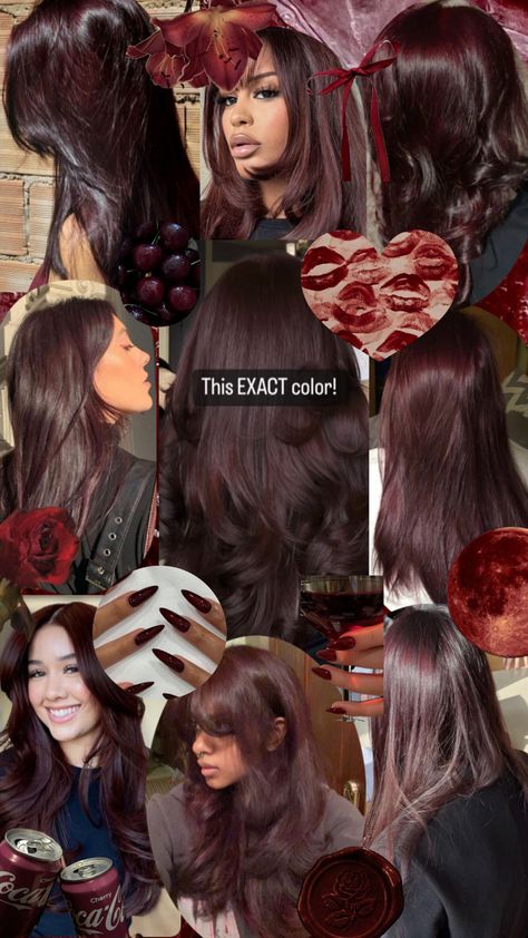 Colors That Look Good With Black Hair, Black Cherry Hair Color On Brown Skin, Hair Color Idea For Dark Brown Hair, No Bleach Dark Hair Color, Red Tint In Brown Hair, Red Hair Dye On Dark Brown Hair, Burgundy Tinted Hair, Dark Cherry Brown Hair Curly, Red Box Dye On Black Hair