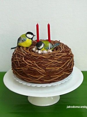 {Love the shape of the cake with two darling birds by Benja} Nature Cakes, Seasonal Cakes, Nature Cake, Twin Birthday Cakes, Bird Birthday Parties, Bird Cake, Dad Birthday Cakes, Pinterest Cake, Friends Cake