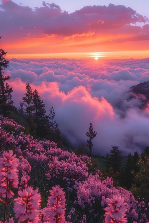 Pink Sunset Mountains, Pink Sky Photography, Calm Vibes Aesthetic, Pink City Aesthetic, Pink Nature Aesthetic, Mountain View Aesthetic, Pink In Nature, Pretty Sky Pictures, Pink Sky Landscape