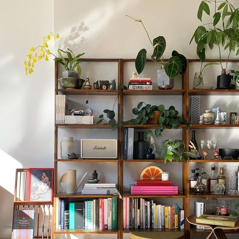 Nick Lowry on Instagram: "✨" Bookshelf Eclectic, Eclectic Bookshelf Styling, Decor Studio, Eclectic Bedroom, February 13, Paint Colors For Living Room, Vintage Room, House Room, Interior Inspo