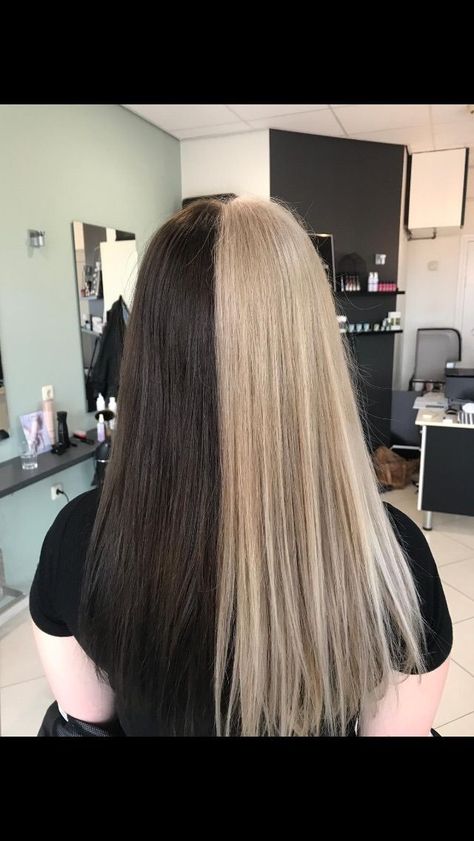 Two Colored Hair Half, Split Hair Color Brown And Blonde, Have Blonde Half Brown Hair, Blonde And Brown Hair Half, Split Dye Half Brown Half Blonde, Brown And Blonde Half And Half, Half Blonde And Half Brown Hair, Half And Half Hair Color Brown, Blond And Brown Split Dye