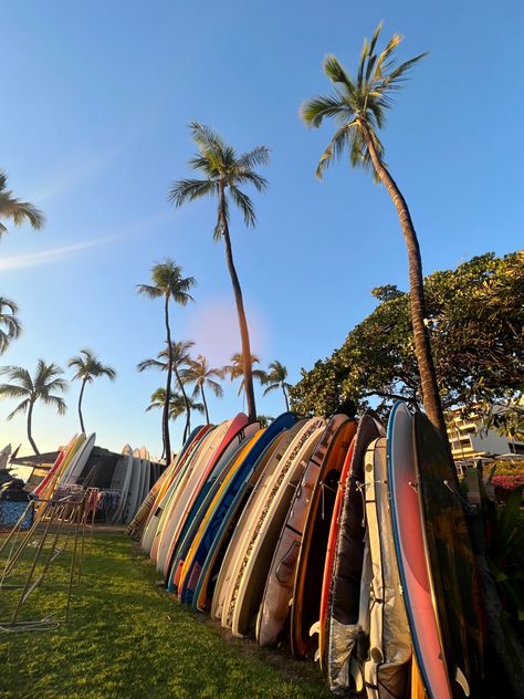 aesthetic surfboard photo in big island of hawaii Big Island Aesthetic, Hawaii Maui Aesthetic, Big Island Hawaii Aesthetic, Hawaii Life Aesthetic, Living In Hawaii Aesthetic, Aesthetic Surfboard, Island Life Aesthetic, Aesthetic Hawaii, Living In Hawaii