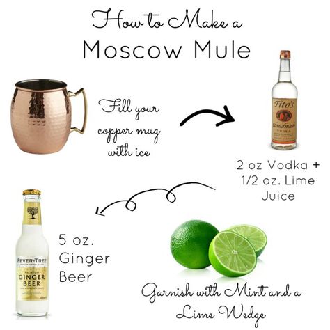 Step by Step Tutorial on How to make the perfect classic moscow mule! An easy last minute cocktail for your dinner guests! Moscow Mule Recipe Classic, Moscow Mule Drink Recipes, Moscow Mule Drink, Bartender Recipes, Mule Drink, Bartender Drinks Recipes, Breakfast Cocktails, Alcohol Beverages, Moscow Mule Recipe