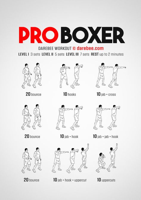 Pro Boxer Workout Learn To Box At Home, Darebee Boxing, Yor Forger Workout, Learning Boxing, Shadowboxing Workout, Boxing Exercises, Boxing Moves, Shadow Boxing Workout, Boxing Tips