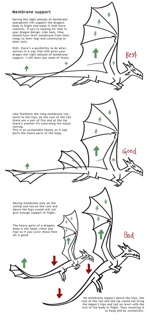 Dragon Membrane Theory v01 by SammyTorres.deviantart.com on @deviantART Dragon Anatomy Drawing, Dragons Wings, Sketch Dragon, Draw A Dragon, Dragon Anatomy, Drawing Dragon, Wings Drawing, Dragon Sketch, Creature Drawings