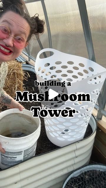 Tonya Snyder on Instagram: "🍄 Wanna hear a mushroom growing hack?  • Let’s take my mushroom grow block from @lushanddew_official and build a higher yielding mushroom tower with it instead! • You can even wait until after a few mushroom harvests from your oyster mushroom grow kit, first, before taking it outdoors for its new life, if you want! • You can mix the blocks with woody yard waste and/or layers of straw to grow even more tasty mushrooms! • I’ve started towers in mid-summer where temperatures exceeded 95°F for several days, and the first flush of mushrooms came after 40 days.  • Here in Missouri the best time, though, to start a mushroom tower is spring or early fall when there are mild temperatures and plenty of rain. • And that’s what we are doing today!  • Though I’m contemplati Grow Mushrooms At Home From Scraps, Button Mushrooms Growing, Outdoor Mushroom Garden, Grow Oyster Mushrooms At Home, Oyster Mushrooms Growing, How To Grow Oyster Mushrooms, Grow Mushrooms From Scraps, Grow Mushrooms Indoors, Growing Mushrooms At Home Diy