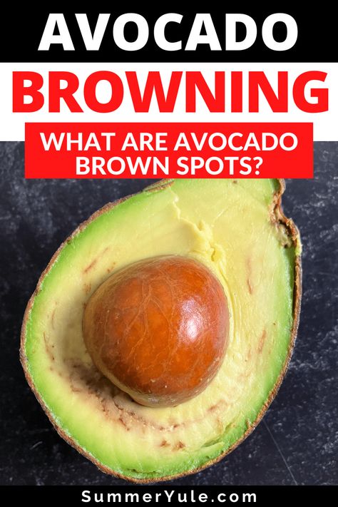 How To Keep Avacoda From Turning Brown, What To Make With Avocado, Avocado Aoli, Ripe Avocado Recipes, Ways To Eat Avocado, Yule Recipes, Avocado Types, Avocado Benefits, Avocado Health Benefits