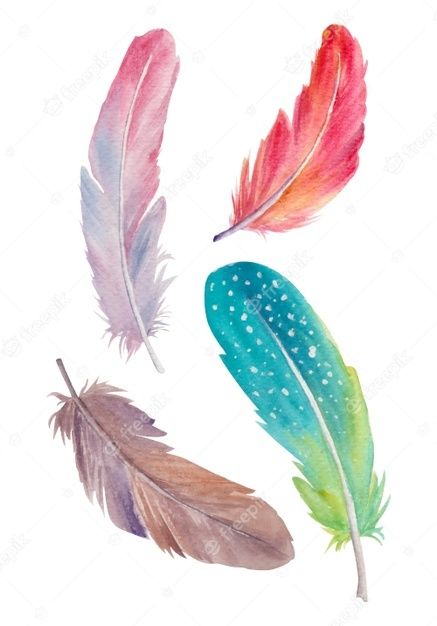 Premium Vector | Watercolor feathers Colorful Feather Drawing, Paintings Of Feathers, Feather Illustration Design, Watercolor Feather Painting, Feather Painting Ideas, Feather Drawings, Feathers Drawing, Drawing Feathers, Feathers Painting