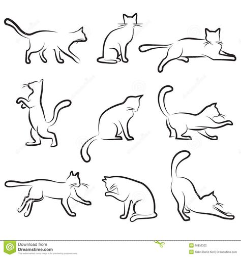 Drawing Set, Cat Drawing, Black And White, White, Black, Art