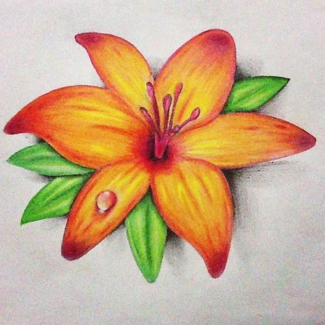 Sunflower Drawing Easy, Realistic Flower Drawing, Colored Pencil Artwork Ideas, Drawing Easy Step By Step, Prismacolor Drawing, Arte Aesthetic, Pencil Drawings Of Flowers, Sunflower Drawing, Prismacolor Art